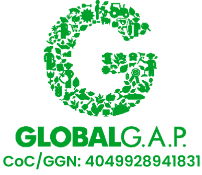 GH Murciana de Vegetales